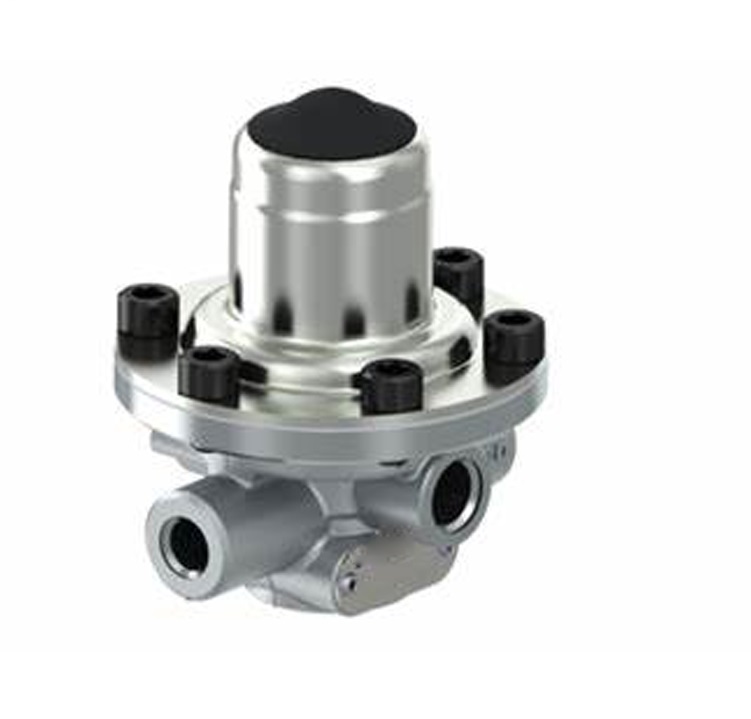 09.115.03 - BASINÇ AYAR VALFİ